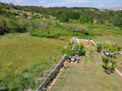Apartamenty Perić Lopar (Wyspa Rab)